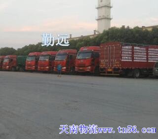 17.5板車?yán)蠹D片